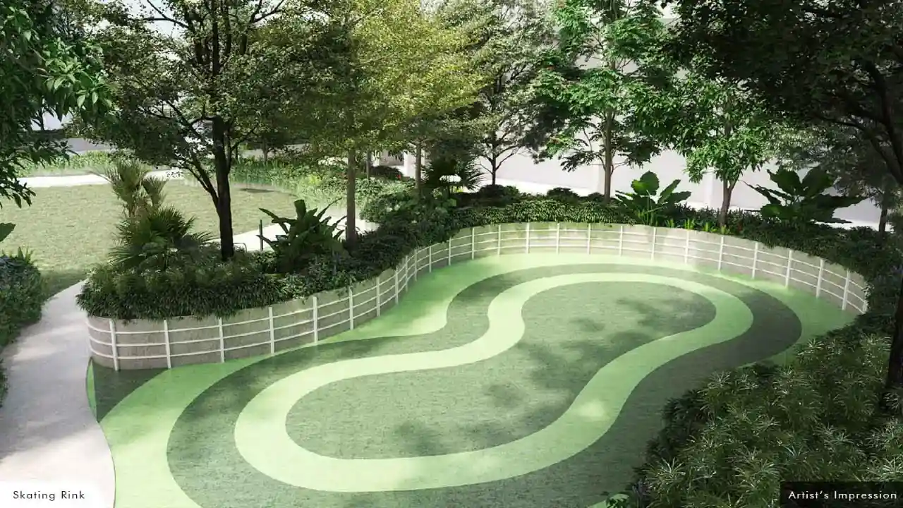 Skating Rink